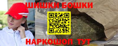 индика Будённовск