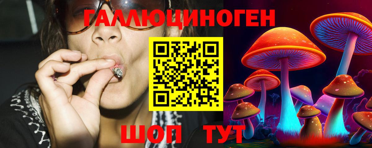 Псилоцибиновые грибы мухоморы Липецк